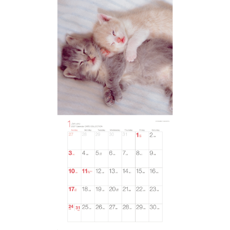 【2027年カレンダー・手帳】Cats Collection 山下寅彦 壁掛けカレンダー /辰巳出版
