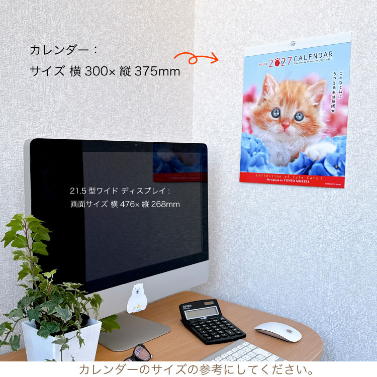 【2027年カレンダー・手帳】森田米雄・CATメッセージ/ 壁掛けカレンダー CAT 壁掛け