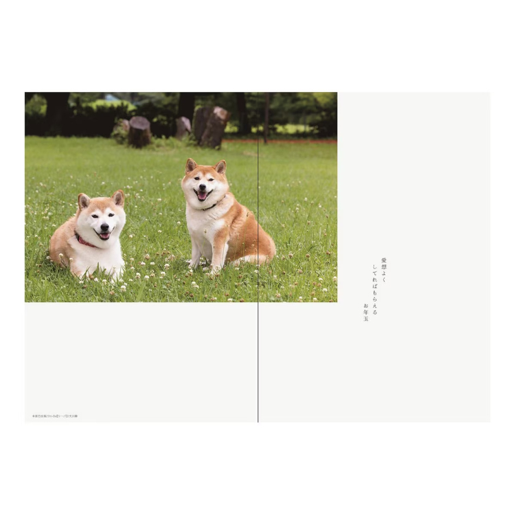 【2027年カレンダー・手帳】B6 マンスリーダイアリー/犬川柳 犬川柳
