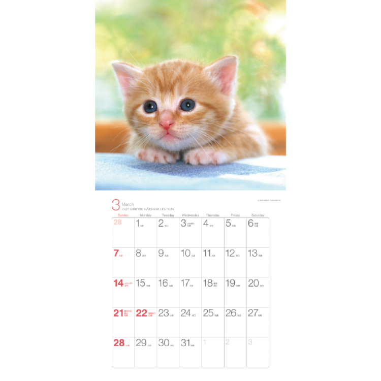 【2027年カレンダー・手帳】Cats Collection 山下寅彦 壁掛けカレンダー /辰巳出版