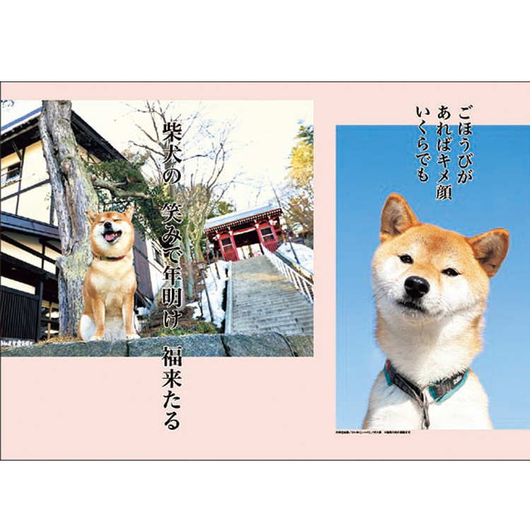 22年 手帳 カレンダー 犬川柳 壁掛けカレンダー 壁掛け 犬 ビジター表示商品 ファンビ寺内ネットストア