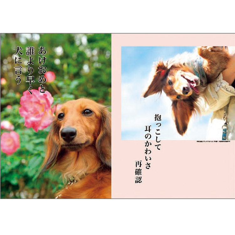 22年 手帳 カレンダー ダックス犬川柳 壁掛けカレンダー 壁掛け ダックス ビジター表示商品 ファンビ寺内ネットストア