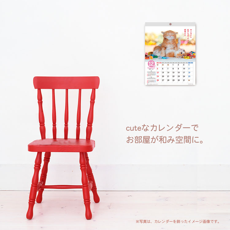 【2027年カレンダー・手帳】森田米雄・CATメッセージ/ 壁掛けカレンダー CAT 壁掛け