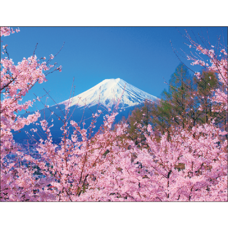 【2027年カレンダー・手帳】富士山の四季 壁掛けカレンダー 富士山の四季
