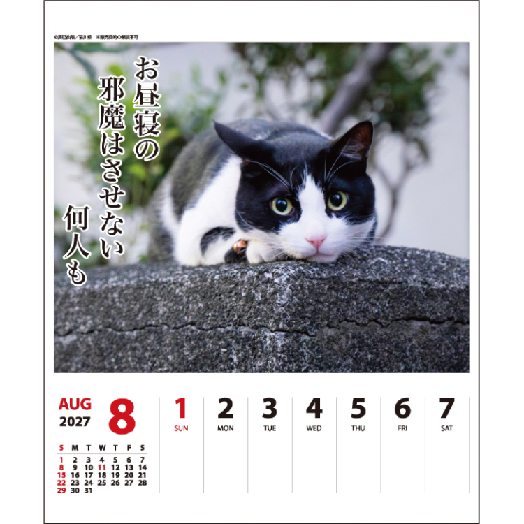 【2027年カレンダー・手帳】猫川柳 卓上カレンダー (週めくり) 猫川柳 卓上 (週めくり)