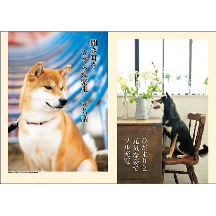 22年 手帳 カレンダー 犬川柳 壁掛けカレンダー 壁掛け 犬 ビジター表示商品 ファンビ寺内ネットストア