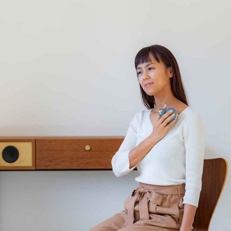 リセットローラ TWINS TWINS