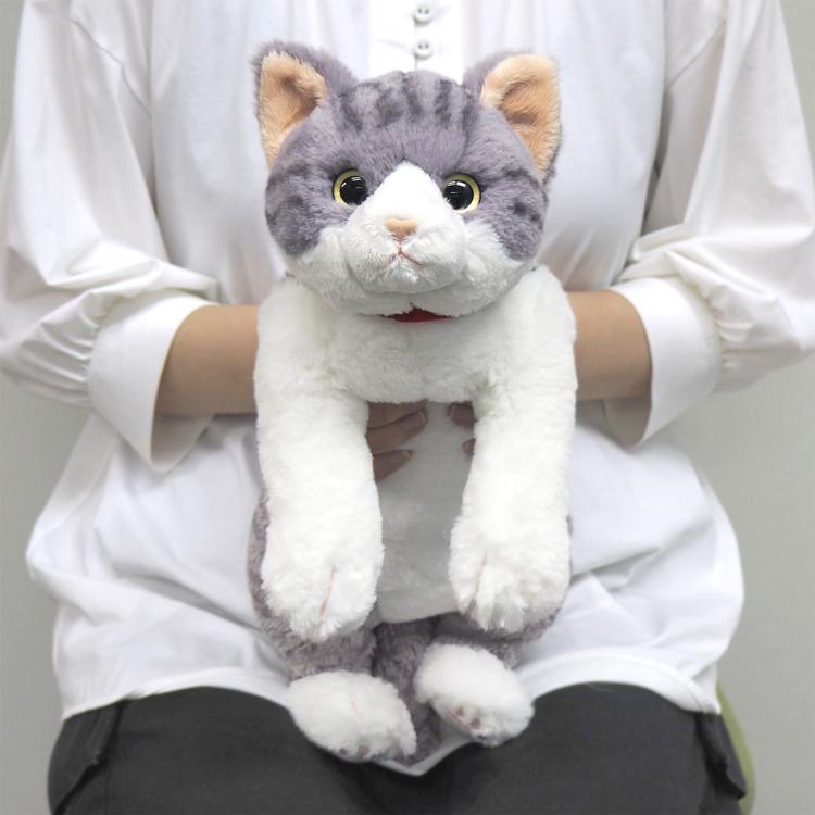 ひざねこ　お座り　サバシロ　グレー サンレモン ひざねこ M ミケ/オッドアイWH/GY/BR/BK/サバシロ/チャシロ