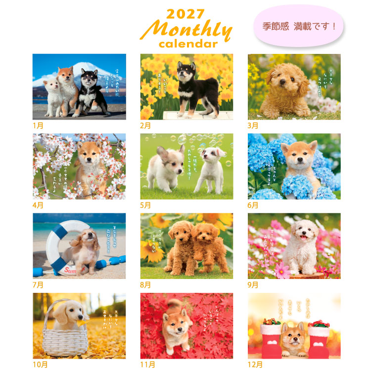 【2027年カレンダー・手帳】DOGマンスリー/ 壁掛けカレンダー DOGマンスリー 壁掛け