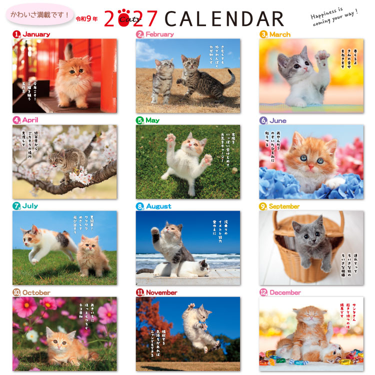 【2027年カレンダー・手帳】森田米雄・CATメッセージ/ 壁掛けカレンダー CAT 壁掛け