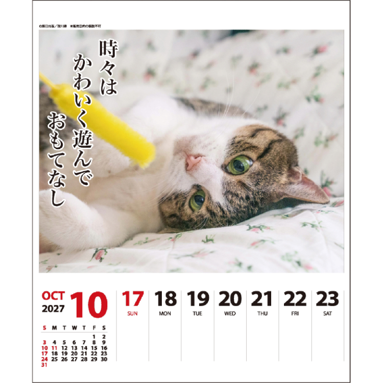 【2027年カレンダー・手帳】猫川柳 卓上カレンダー (週めくり) 猫川柳 卓上 (週めくり)