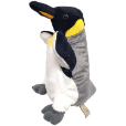 キングペンギン