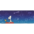 星空スヌーピー