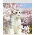 ＣＡＴウォール