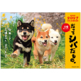 だってシバだもの。