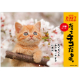だってネコだもの。