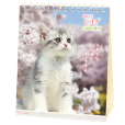 リトルキャット