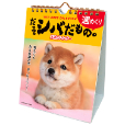 だってシバだもの。