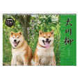 犬川柳