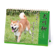 犬川柳