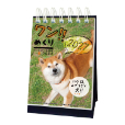 ワン!!めくり