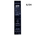 6明度6/04