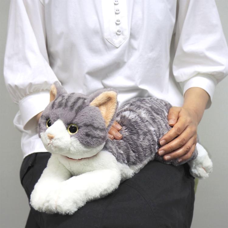 ひざねこ サバシロ M(M サバシロ): ビジター表示商品｜ファンビ寺内