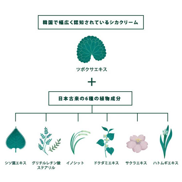 CICAメソッド クリーム