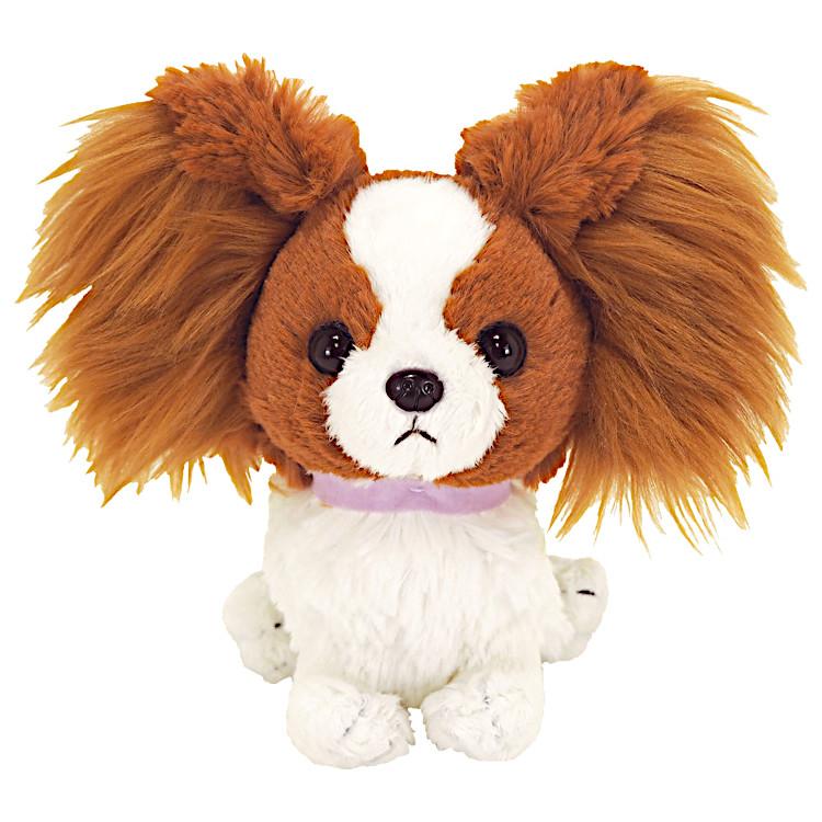 PUPS! パピヨン ブラウン パピヨン ブラウン