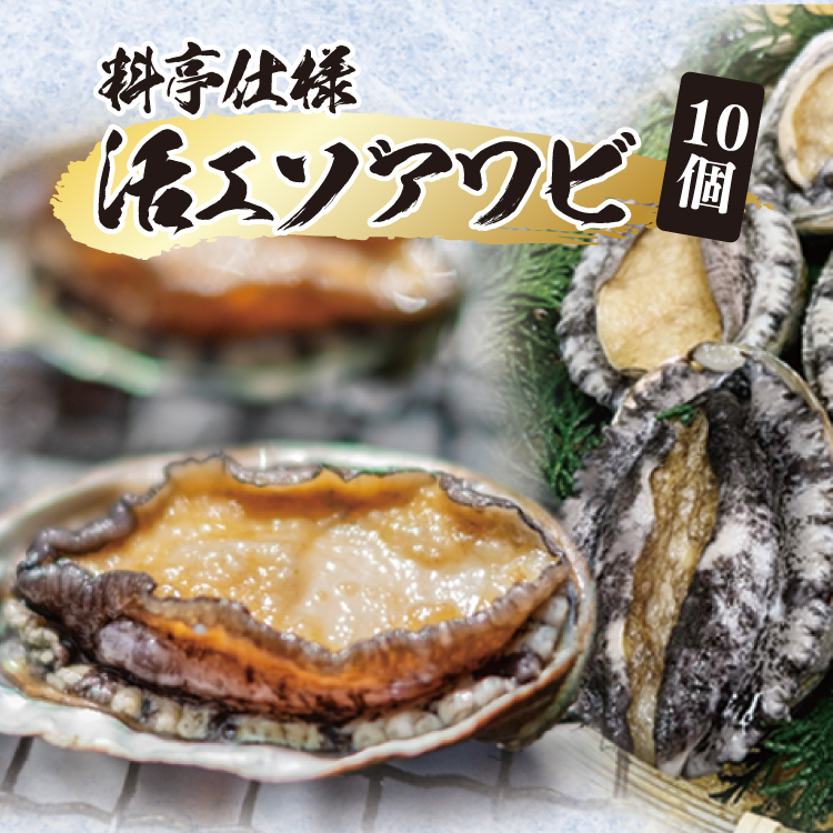 (深廣)料亭仕様 活エゾアワビ 10個入り