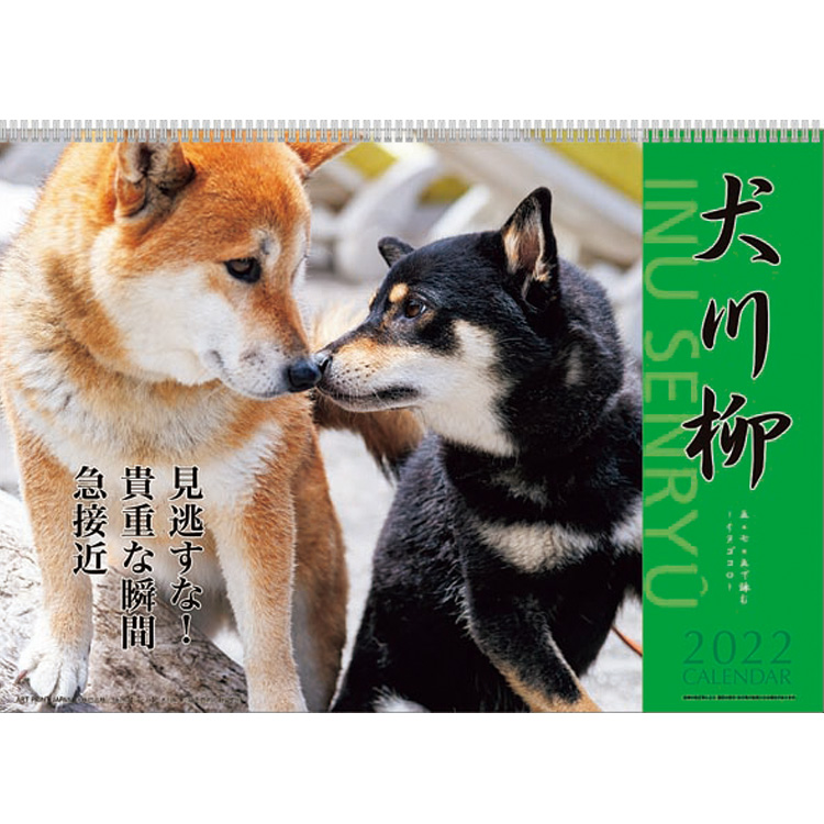 22年 手帳 カレンダー 犬川柳 壁掛けカレンダー 9月上旬より順次出荷 壁掛け 犬 ビジター表示商品 ファンビ寺内ネットストア