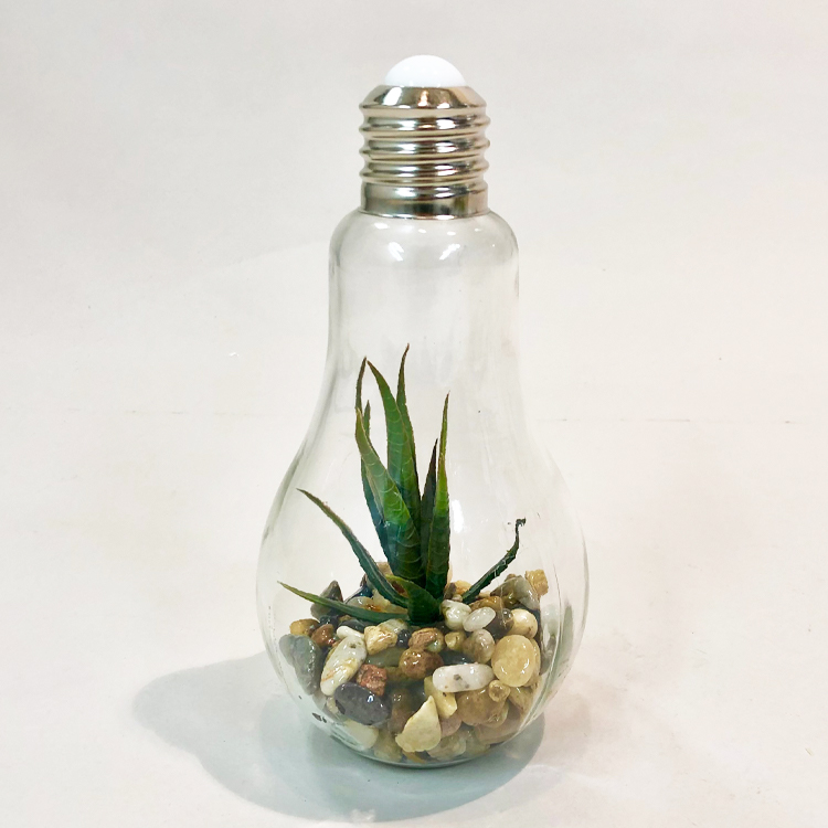 電球型インテリアライト テラリウム A A ビジター表示商品 ファンビ寺内ネットストア