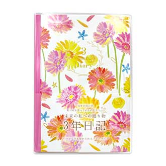 クローズピン ナミ３年ダイアリー DI16324