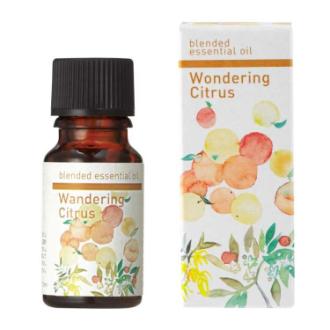 生活の木 ブレンドエッセンシャルオイル ワンダリングシトラス 10ml