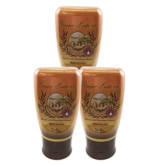 (ネットストアのfanbi通販)ヴェーダヴィ　ジンジャーペースト EX（３個セット）