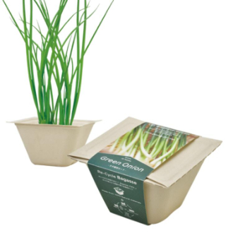 Bagasse Green ネギ
