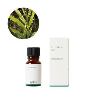 生活の木 カルダモン精油 10ml