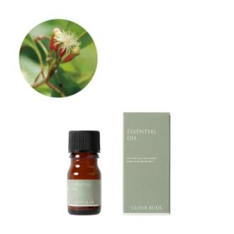 生活の木 クローブ精油 3ml