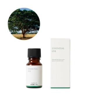 生活の木 コパイバ精油 10ml