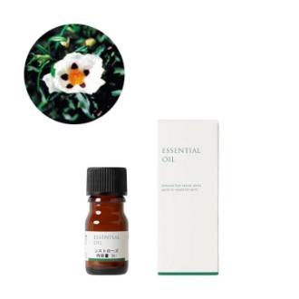 生活の木 シストローズ精油 3ml