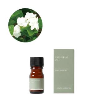 生活の木 ジャスミンサンバックAbs.（10%希釈）精油 3ml