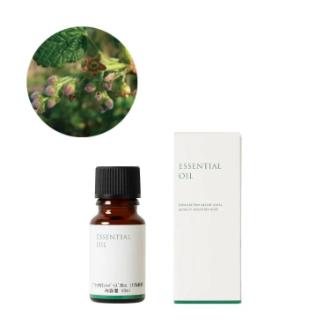 生活の木 ブラックカラントバッズAbs.（10%希釈）精油 10ml