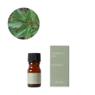 生活の木 ホーリーフ精油 3ml