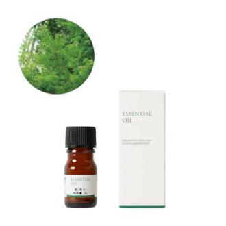 生活の木 樅(モミ) 精油 3ml