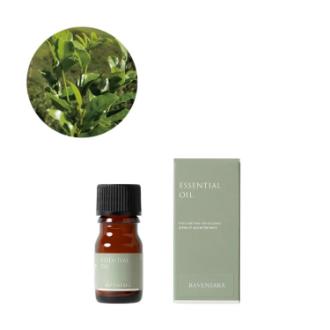 生活の木 ラベンサラ精油 3ml