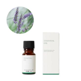生活の木 スパイクラベンダー精油 10ml