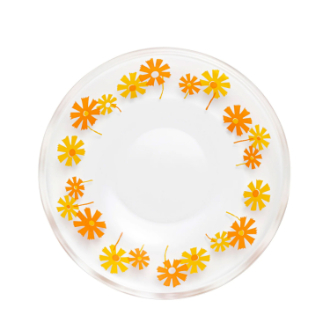 アデリアレトロ プレート120 アリス