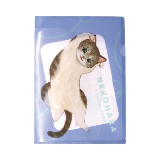 ねこハラ文具 ねこハラA4ポケットファイル ブルー(ブルー): ビジター