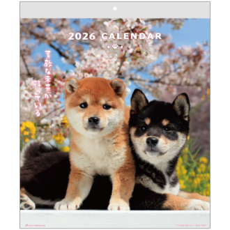 【2026年カレンダー・手帳】ＤＯＧウォールカレンダー