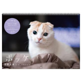 【2026年カレンダー・手帳】APJ ポッケ 壁掛けカレンダー